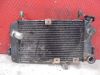 Radiateur Suzuki SV 650