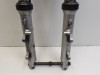 Voorpoten compleet Yamaha FAZER 600