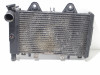 Radiateur Triumph 900 Daytona