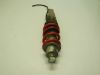 Stossdampfer hinten Honda CBR 600 F