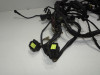 Wire Harness Ducati monster 600