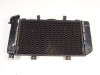 Radiateur Yamaha TDM