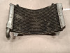 Radiator Suzuki RGV 250