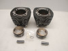 Cilinderblok Harley Davidson Softtail