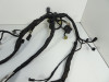 Wire Harness Kawasaki ER 6