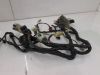 Wire Harness Honda CBF 600