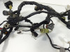 Wire Harness Kawasaki ER 6