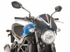 Scheibe Windschild Suzuki SV 650