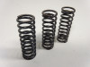 Clutch Aprilia Tuono 660