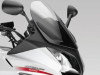 Scheibe Windschild Honda CBF 600