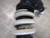 Stossdampfer hinten BMW R Nine T