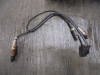 Lambda sensor BMW F 900 XR