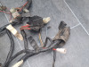 Kabelboom Honda CBR 600 F