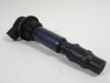 Bobine Triumph Tiger 1050