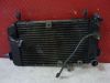 Radiateur Suzuki SV 650