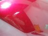 Tank Honda CBR 1100 XX