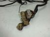 Wire Harness Kawasaki GPZ 900