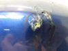 Kotflugel vorne BMW K 100