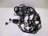 Wire Harness Kawasaki Z 800