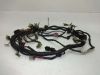 Wire Harness Kawasaki EL 250