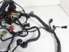 Wire Harness Kawasaki ER 6