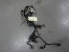 Wire Harness Honda CBR 600 F
