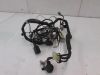Wire Harness Kawasaki ZZR 250