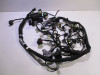 Wire Harness KTM 790 Duke