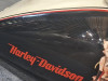Tank Harley Davidson heritage classic twin cam carbarateur