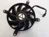 Fan Yamaha FZ6