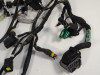 Wire Harness Ducati monster 696