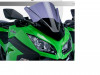 Wind screen Kawasaki Ninja 300