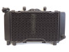 Radiator Yamaha TDM