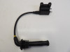 Bobine Triumph Thunderbird 900