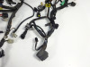 Wire Harness Suzuki GSR 750