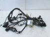 Wire Harness Honda Deauville 650 - 700