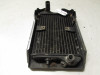 Radiator Kawasaki EN 500 Vulcan