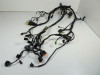 Wire Harness Kawasaki ER 6