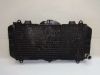 Radiator Yamaha FZR 600