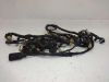 Wire Harness Honda Goldwing GL