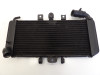 Radiator Yamaha FAZER 600
