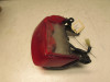 Rear light Honda CBR 600 F