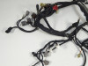 Wire Harness Kawasaki ER 6