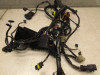 Wire Harness Ducati monster 900