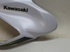 Tankschutz Kawasaki Z 900
