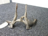 Side stand bar Yamaha FAZER 600