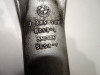 Standrohr Gabelholm links komplett BMW R 1200 RT