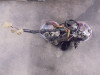 Meter combination Honda Goldwing GL