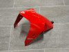 Voorspatbord Ducati Monster 821