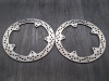 Remschijven set BMW R 1250 GS